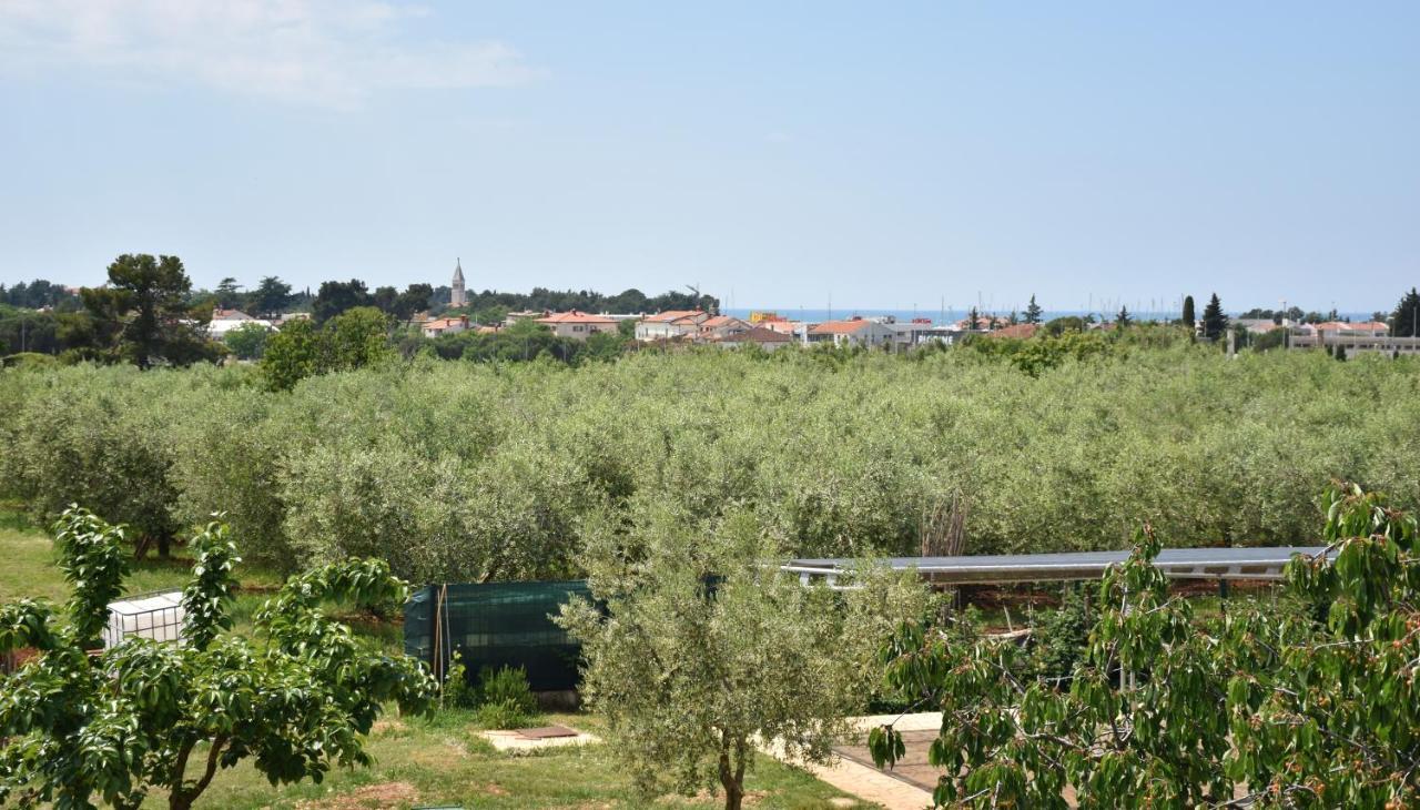 Apartmani Diana Novigrad  Luaran gambar